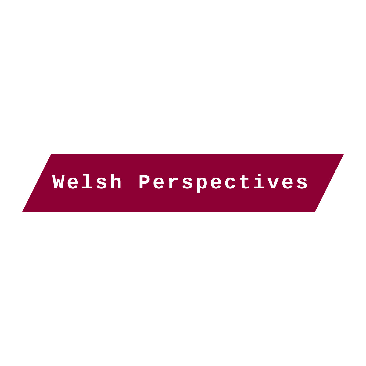 Welsh Perspectives